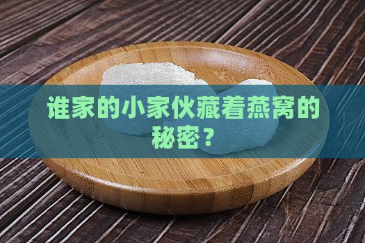 谁家的小家伙藏着燕窝的秘密？