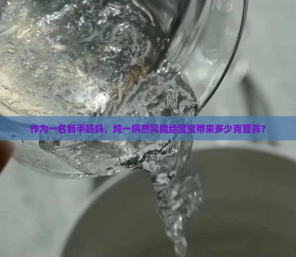 作为一名新手妈妈，炖一锅燕窝能给宝宝带来多少克营养？