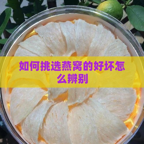 如何挑选燕窝的好坏怎么辨别