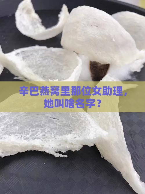 辛巴燕窝里那位女助理，她叫啥名字？