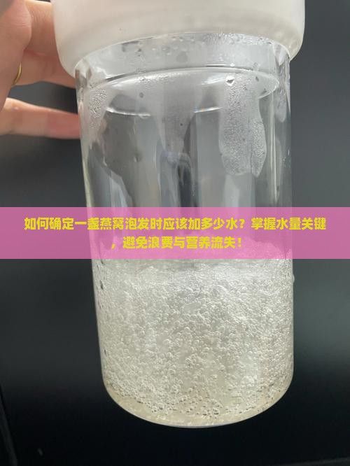 如何确定一盏燕窝泡发时应该加多少水？掌握水量关键，避免浪费与营养流失！