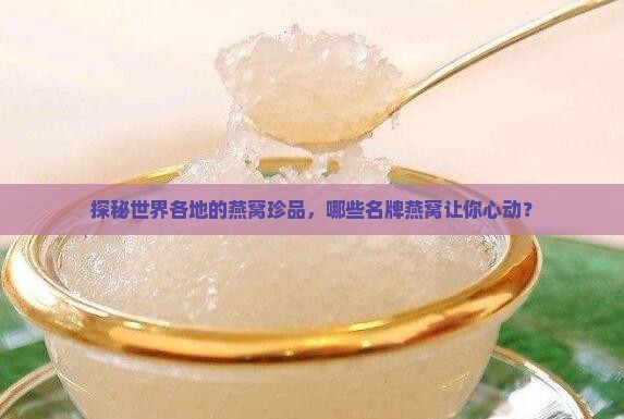 探秘世界各地的燕窝珍品，哪些名牌燕窝让你心动？