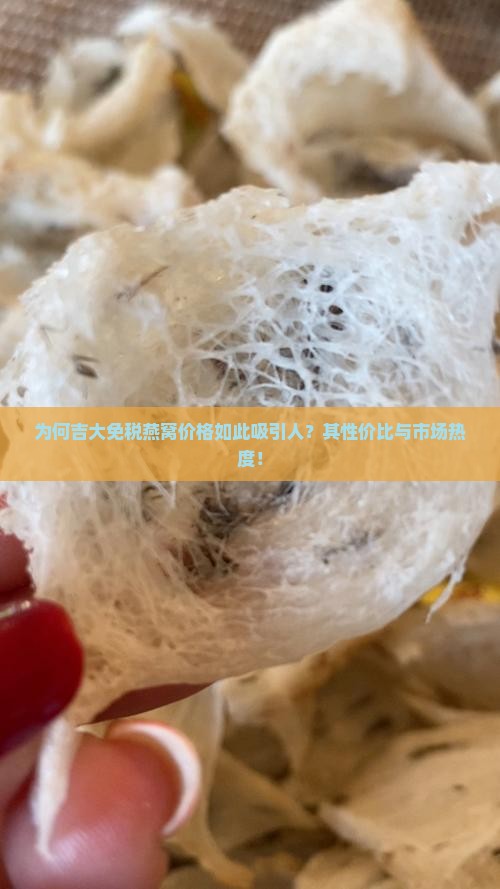 为何吉大免税燕窝价格如此吸引人？其性价比与市场热度！