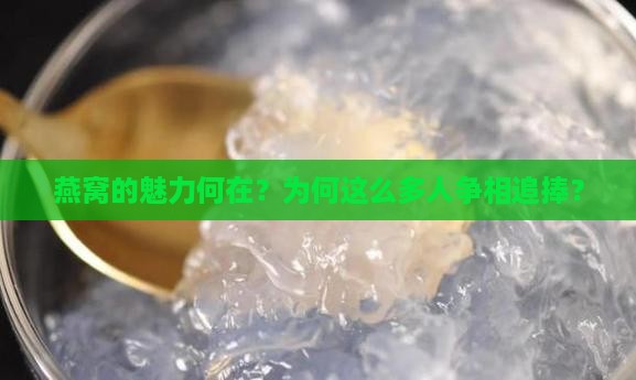 燕窝的魅力何在？为何这么多人争相追捧？