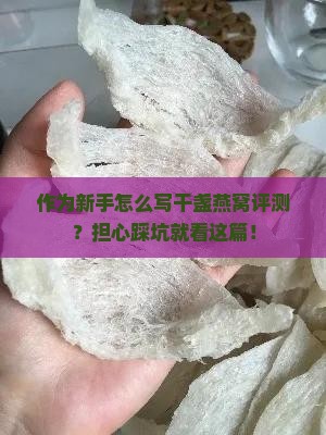 作为新手怎么写干盏燕窝评测？担心踩坑就看这篇！