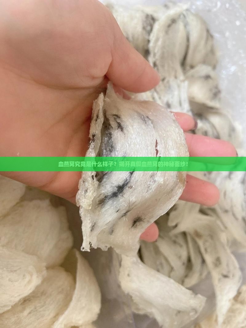 血燕窝究竟是什么样子？揭开真假血燕窝的神秘面纱！