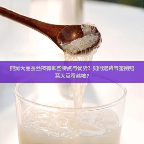 燕窝大豆蚕丝被有哪些特点与优势？如何选购与鉴别燕窝大豆蚕丝被？