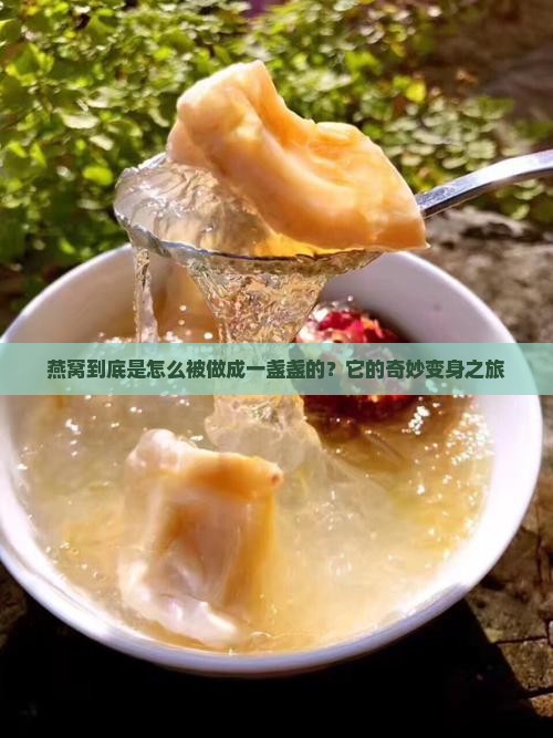 燕窝到底是怎么被做成一盏盏的？它的奇妙变身之旅