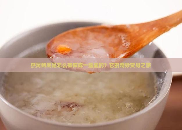 燕窝到底是怎么被做成一盏盏的？它的奇妙变身之旅