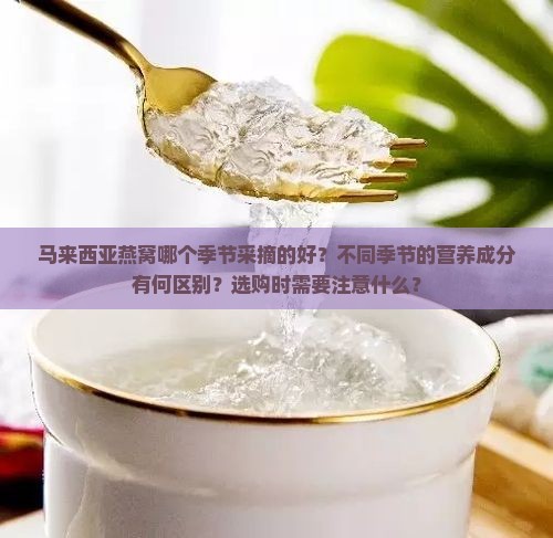 马来西亚燕窝哪个季节采摘的好？不同季节的营养成分有何区别？选购时需要注意什么？