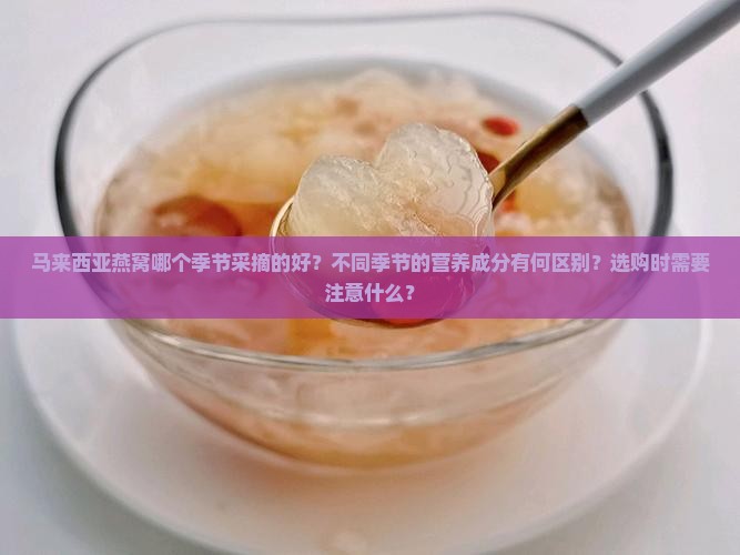 马来西亚燕窝哪个季节采摘的好？不同季节的营养成分有何区别？选购时需要注意什么？