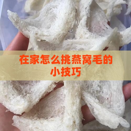在家怎么挑燕窝毛的小技巧