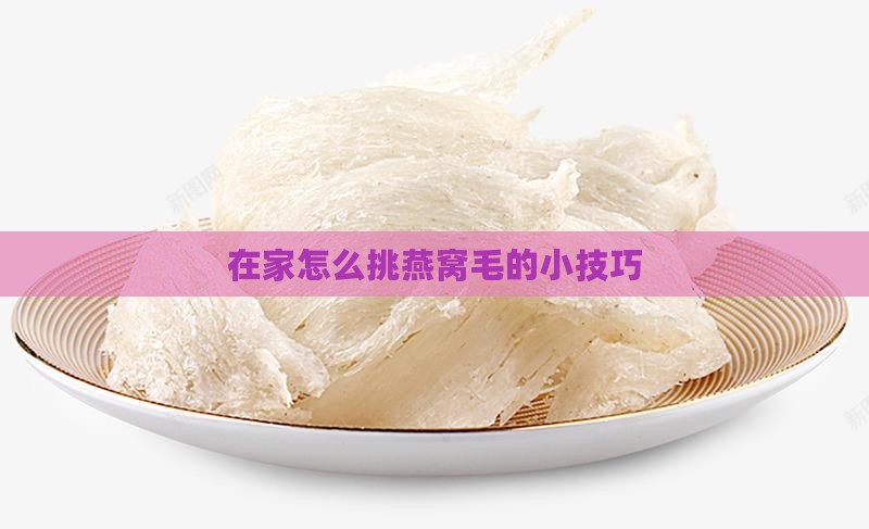 在家怎么挑燕窝毛的小技巧