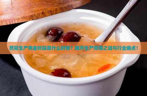 燕窝生产黄金时段是什么时候？揭开生产周期之谜与行业痛点！