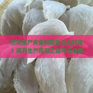 燕窝生产黄金时段是什么时候？揭开生产周期之谜与行业痛点！