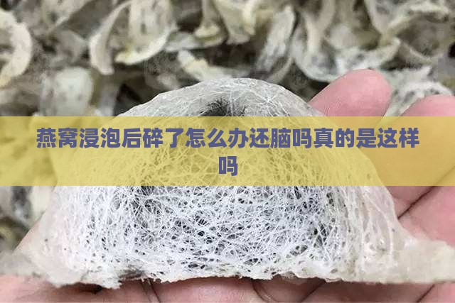 燕窝浸泡后碎了怎么办还脑吗真的是这样吗
