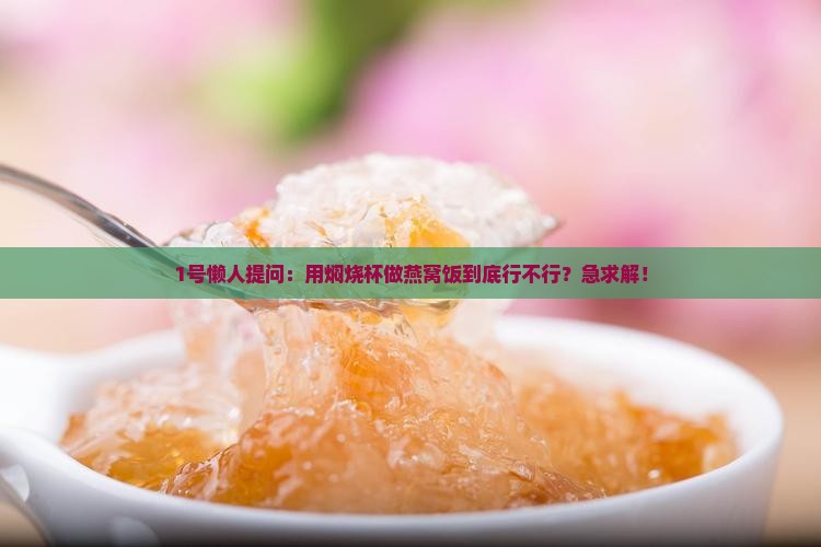 1号懒人提问：用焖烧杯做燕窝饭到底行不行？急求解！