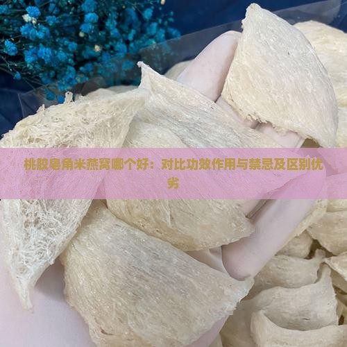桃胶皂角米燕窝哪个好：对比功效作用与禁忌及区别优劣