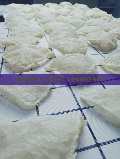 燕窝炖煮推荐：什么锅好，专业推荐炖燕窝锅具