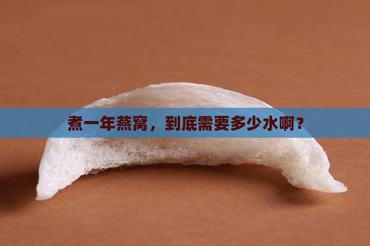 煮一年燕窝，到底需要多少水啊？