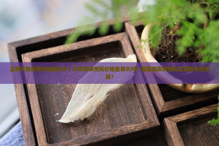 正宗天然燕窝价格是多少？不同等级燕窝价格差异大吗？哪里能买到性价比高的天然燕窝？