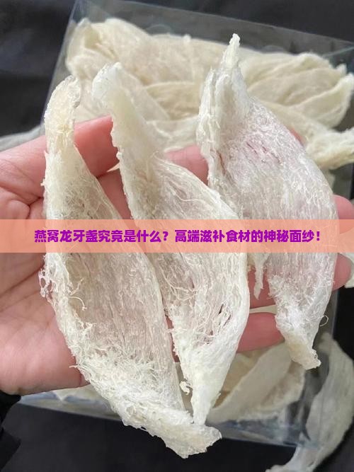燕窝龙牙盏究竟是什么？高端滋补食材的神秘面纱！
