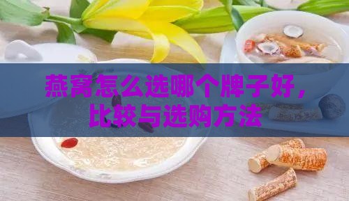 燕窝怎么选哪个牌子好，比较与选购方法