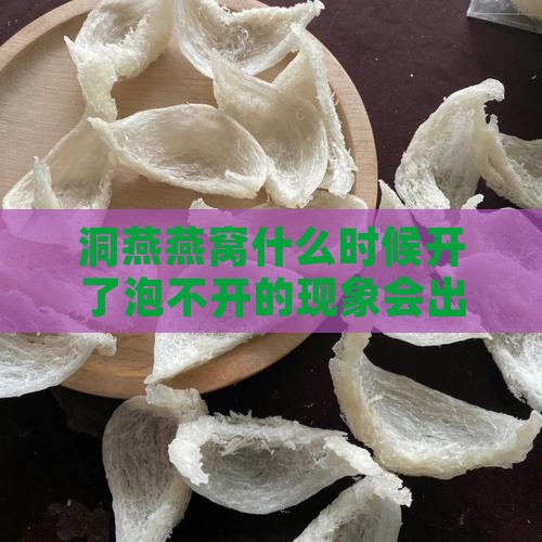 洞燕燕窝什么时候开了泡不开的现象会出现