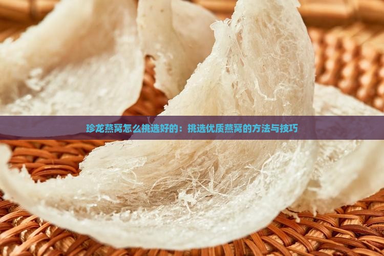 珍龙燕窝怎么挑选好的：挑选优质燕窝的方法与技巧