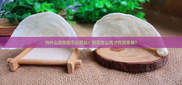 为什么燕窝煮不出胶状？燕窝怎么炖才有胶质感？