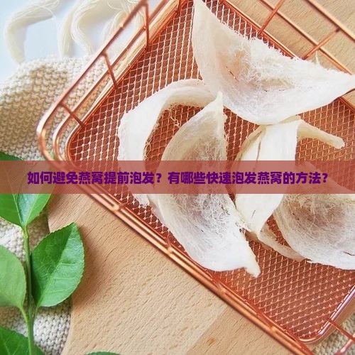 如何避免燕窝提前泡发？有哪些快速泡发燕窝的方法？