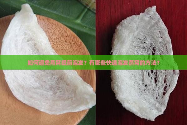 如何避免燕窝提前泡发？有哪些快速泡发燕窝的方法？
