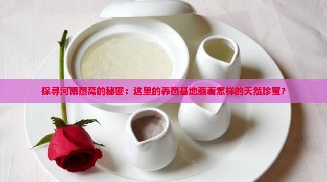 探寻河南燕窝的秘密：这里的养燕基地藏着怎样的天然珍宝？