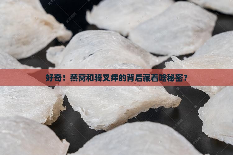 好奇！燕窝和骑叉痒的背后藏着啥秘密？