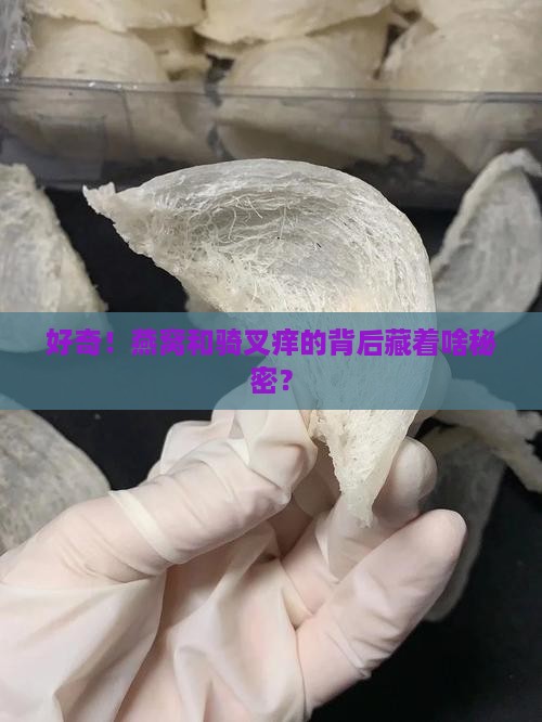 好奇！燕窝和骑叉痒的背后藏着啥秘密？