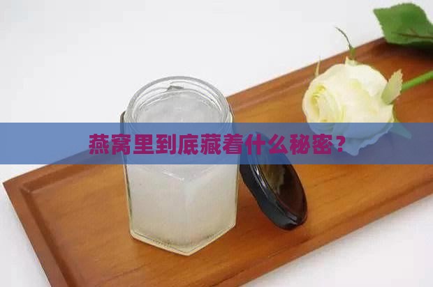 燕窝里到底藏着什么秘密？