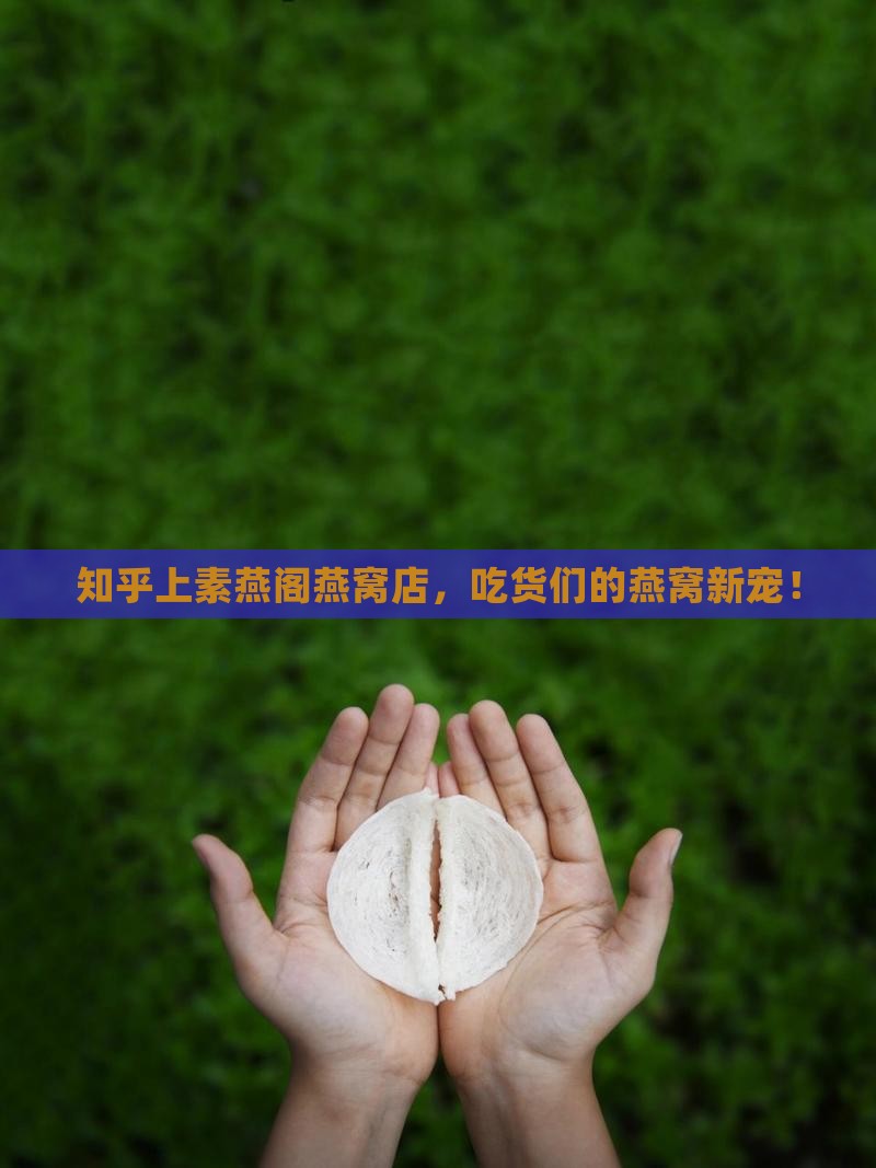 知乎上素燕阁燕窝店，吃货们的燕窝新宠！