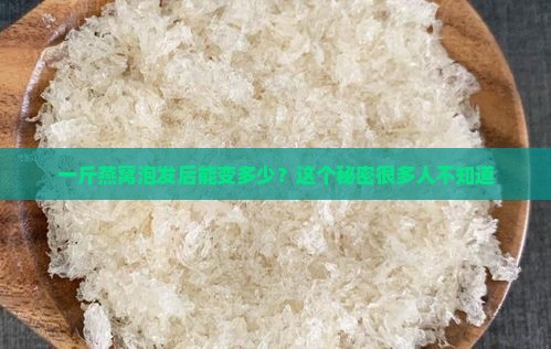 一斤燕窝泡发后能变多少？这个秘密很多人不知道