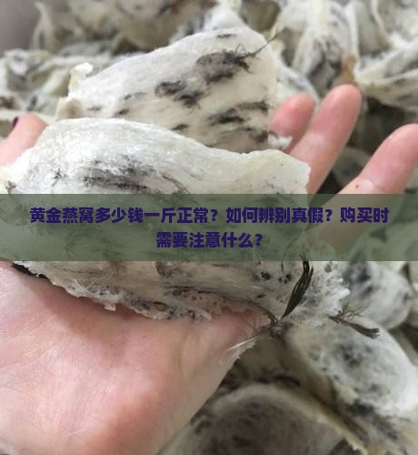 黄金燕窝多少钱一斤正常？如何辨别真假？购买时需要注意什么？