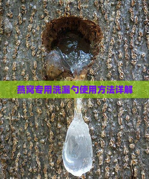 燕窝专用洗漏勺使用方法详解