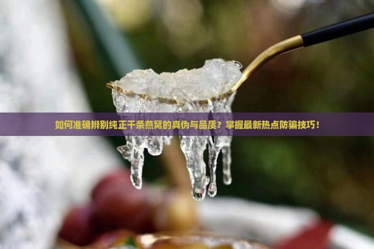 如何准确辨别纯正干条燕窝的真伪与品质？掌握最新热点防骗技巧！