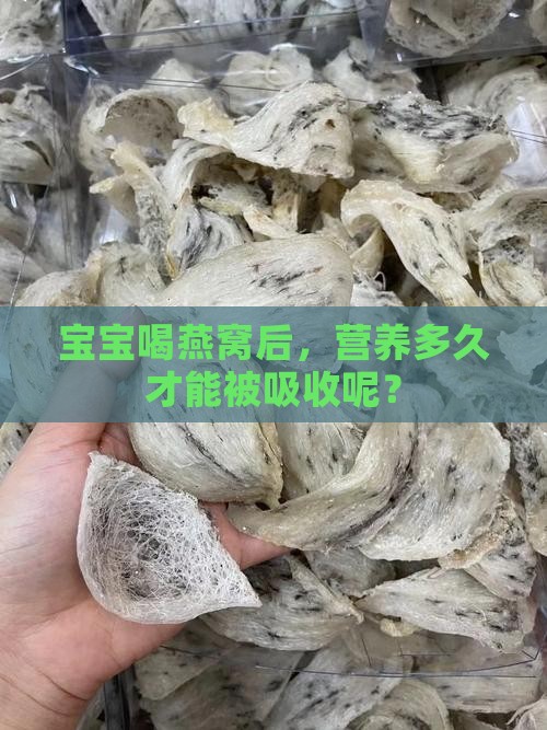宝宝喝燕窝后，营养多久才能被吸收呢？