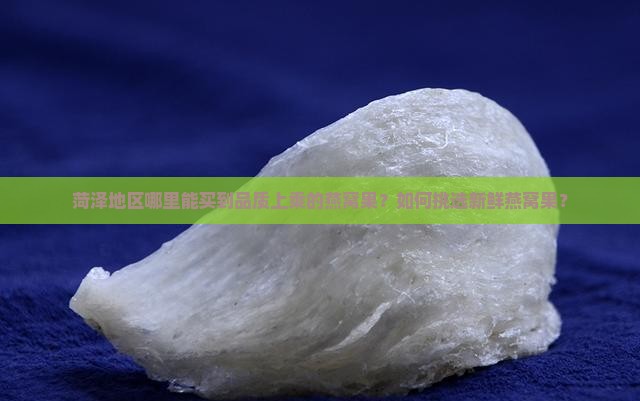 菏泽地区哪里能买到品质上乘的燕窝果？如何挑选新鲜燕窝果？
