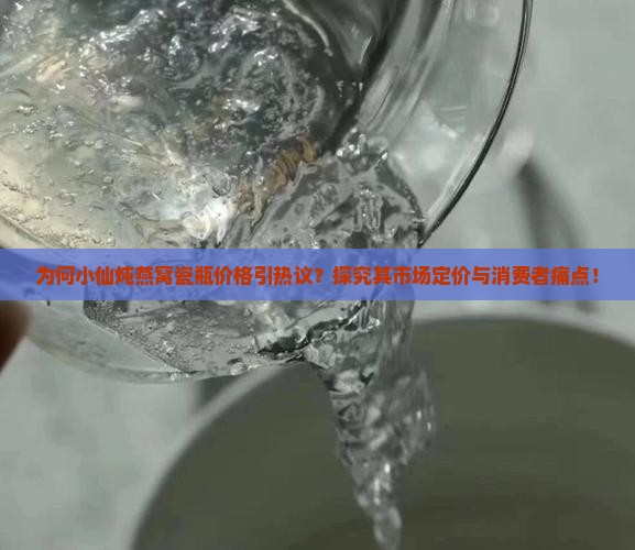 为何小仙炖燕窝瓷瓶价格引热议？探究其市场定价与消费者痛点！