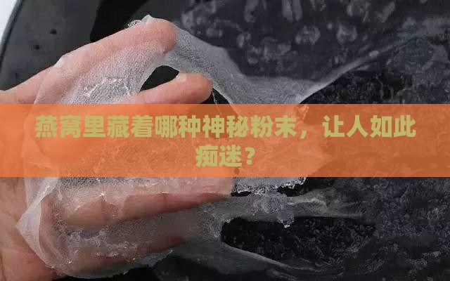 燕窝里藏着哪种神秘粉末，让人如此痴迷？
