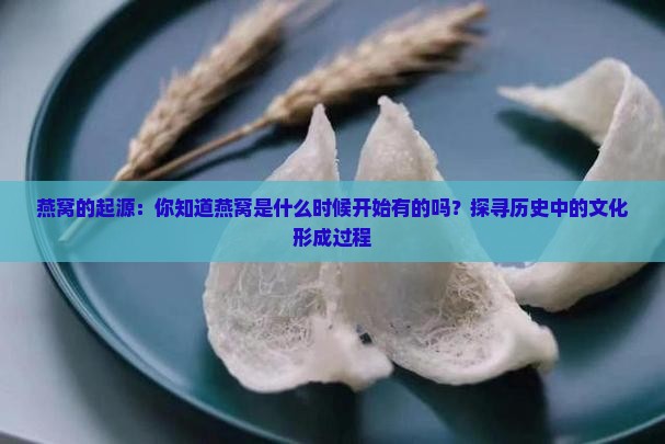 燕窝的起源：你知道燕窝是什么时候开始有的吗？探寻历史中的文化形成过程