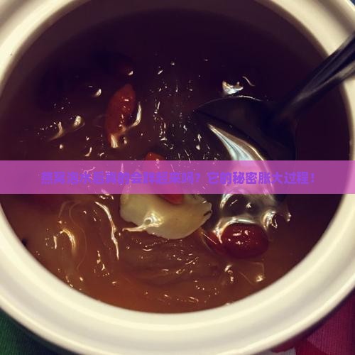 燕窝泡水后真的会胖起来吗？它的秘密胀大过程！