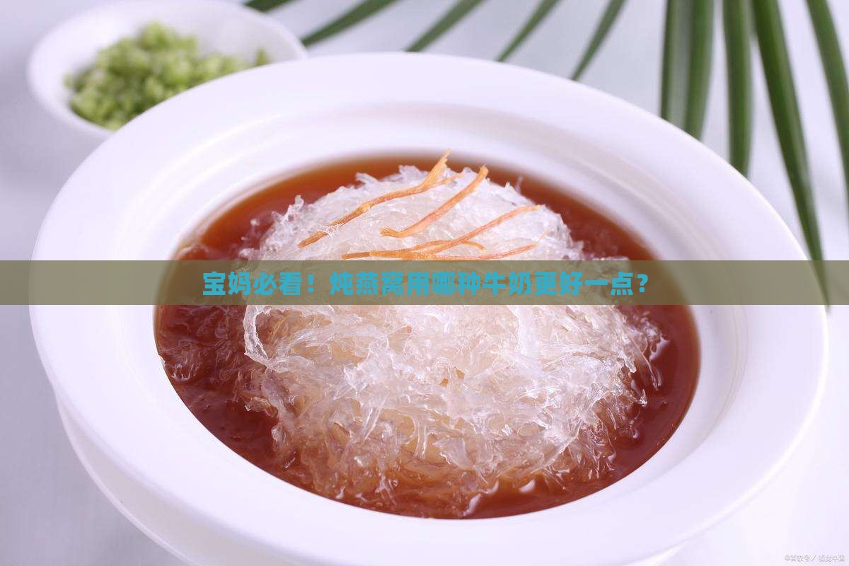 宝妈必看！炖燕窝用哪种牛奶更好一点？