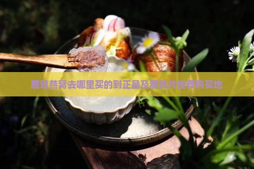 鹿茸燕窝去哪里买的到正品及鹿茸片推荐购买地