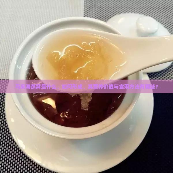 马来海燕窝是什么、如何形成、其营养价值与食用方法有哪些？